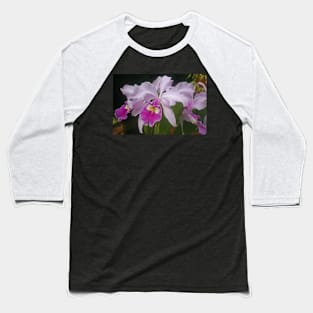 Orchid, Kew Gardens, July 2021 Baseball T-Shirt